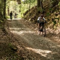 GOTHICA-TRAIL_fot-Ariel-Wojciechowski-59002