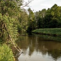 GOTHICA-TRAIL_fot-Ariel-Wojciechowski-59878