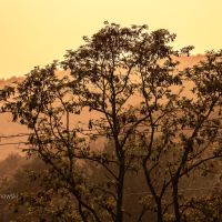 GOTHICA-TRAIL_fot-Ariel-Wojciechowski-60123