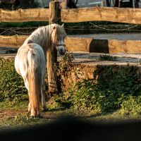 GOTHICA-TRAIL_fot-Ariel-Wojciechowski-60559