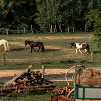 GOTHICA-TRAIL_fot-Ariel-Wojciechowski-60567