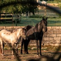 GOTHICA-TRAIL_fot-Ariel-Wojciechowski-60575