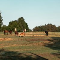 GOTHICA-TRAIL_fot-Ariel-Wojciechowski-60630