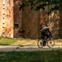GOTHICA-TRAIL_fot-Ariel-Wojciechowski-66827
