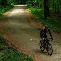 2024_gothica_trail_fot.Ariel-Wojciechowski_arielwojciechowski.com-53425