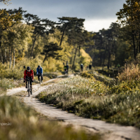 gothica-2025_z-logiem_arielwojciechowski.com_2025-181