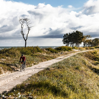 gothica-2025_z-logiem_arielwojciechowski.com_2025-185