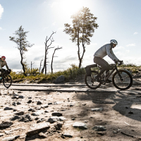 gothica-2025_z-logiem_arielwojciechowski.com_2025-188