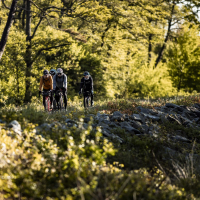 gothica-2025_z-logiem_arielwojciechowski.com_2025-192