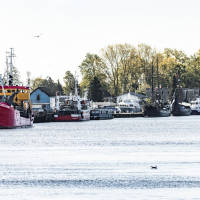 gothica-2025_z-logiem_arielwojciechowski.com_2025-199