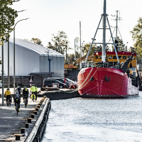 gothica-2025_z-logiem_arielwojciechowski.com_2025-205