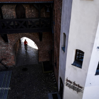 gothica-2025_z-logiem_arielwojciechowski.com_2025-220