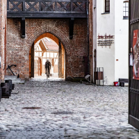 gothica-2025_z-logiem_arielwojciechowski.com_2025-230