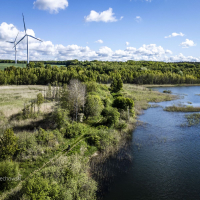 gothica-2025_z-logiem_arielwojciechowski.com_2025-237